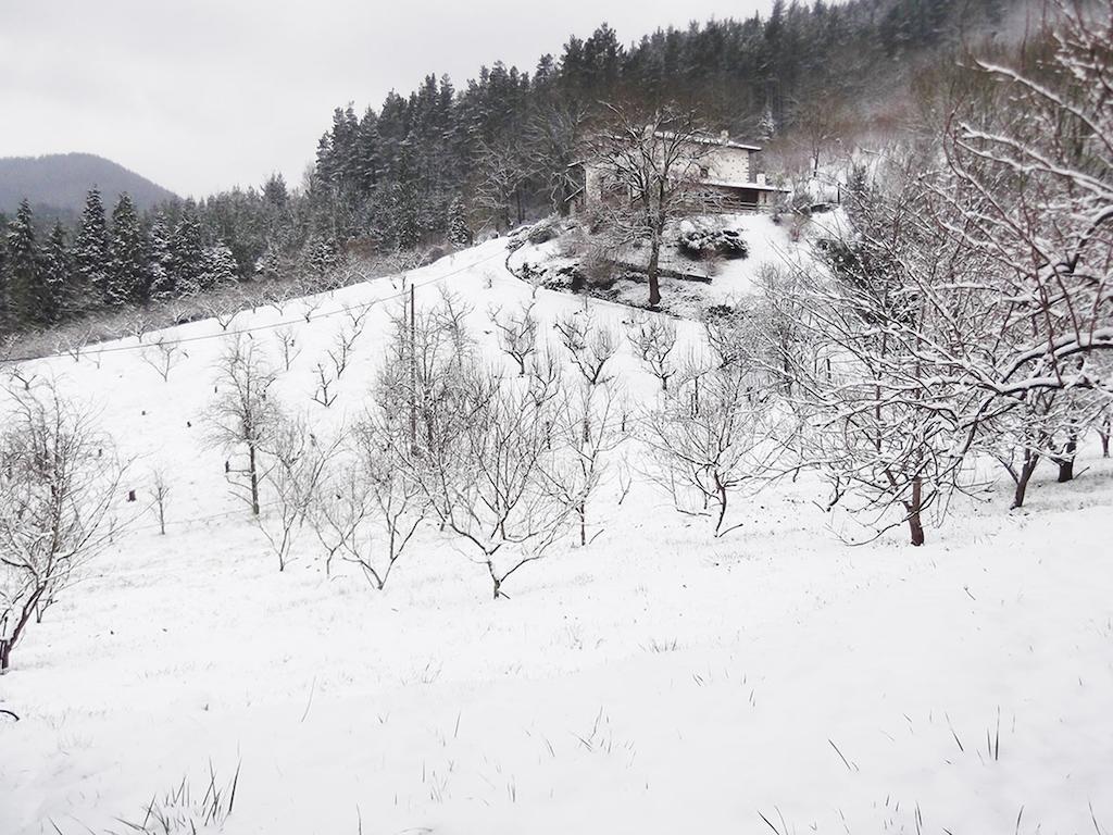 Отель Casa Rural Madariaga Артеа Экстерьер фото